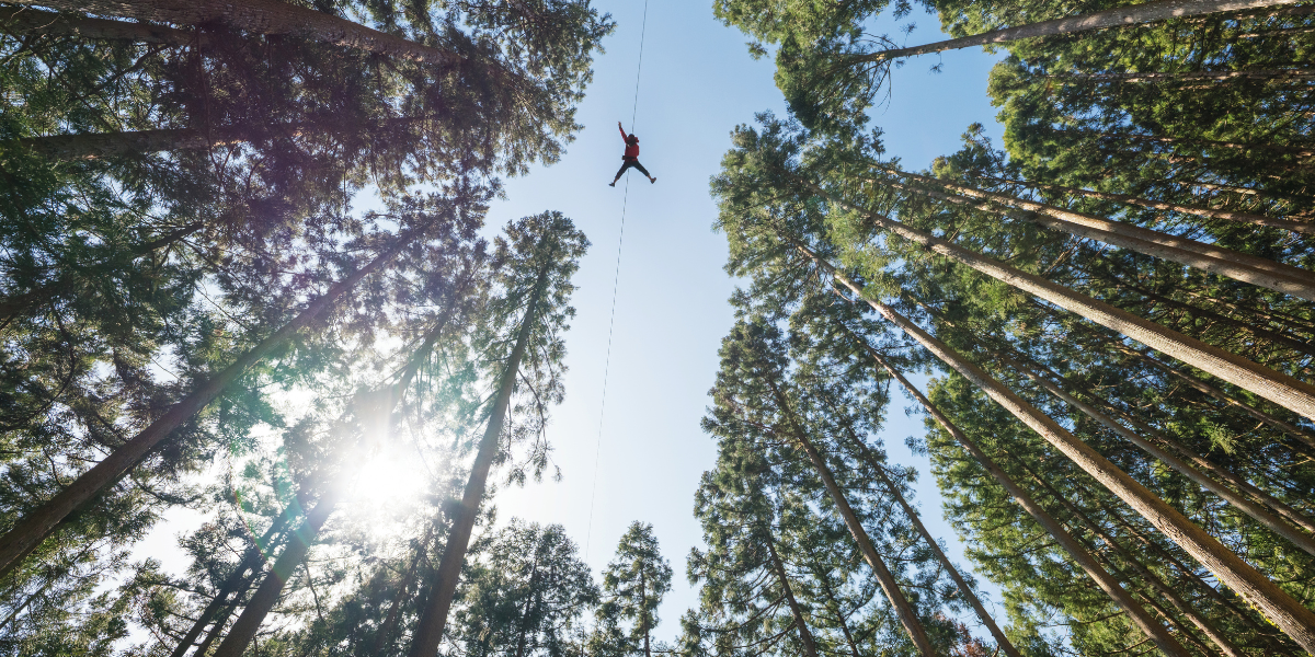 The Thrill of Ziplining: Why Professional Design and Engineering are Crucial