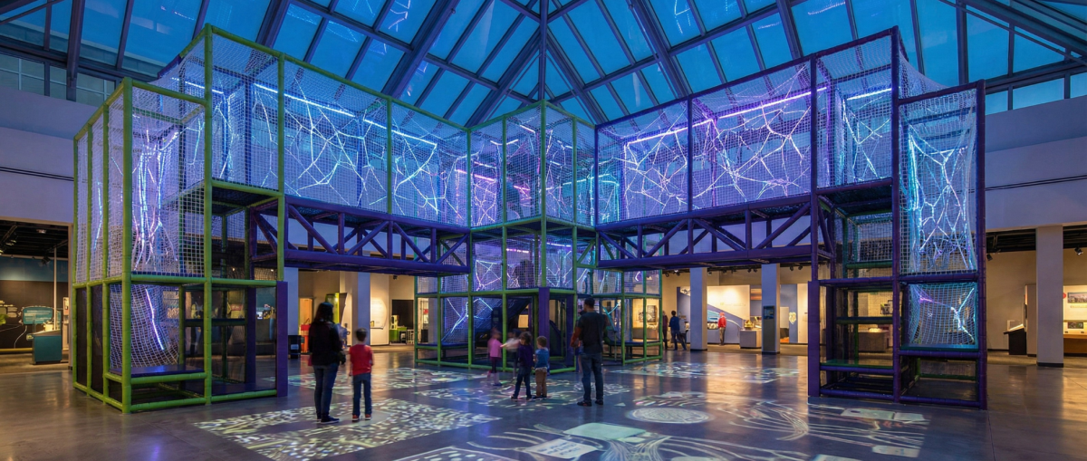 Streamline operations with Net Maze Attractions. Eliminate harnessing time while increasing capacity and customer satisfaction in your park.