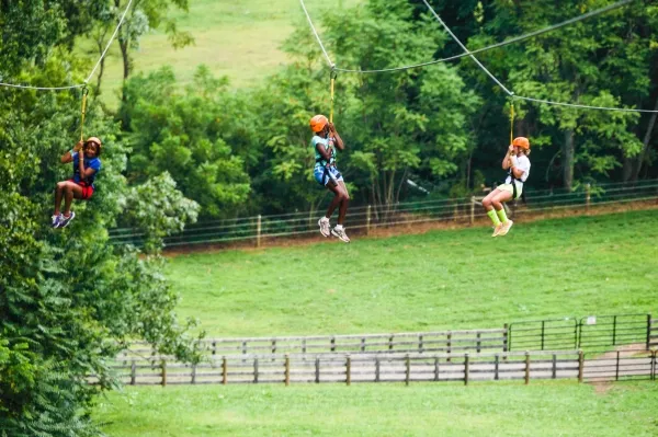 RVR zipline 06