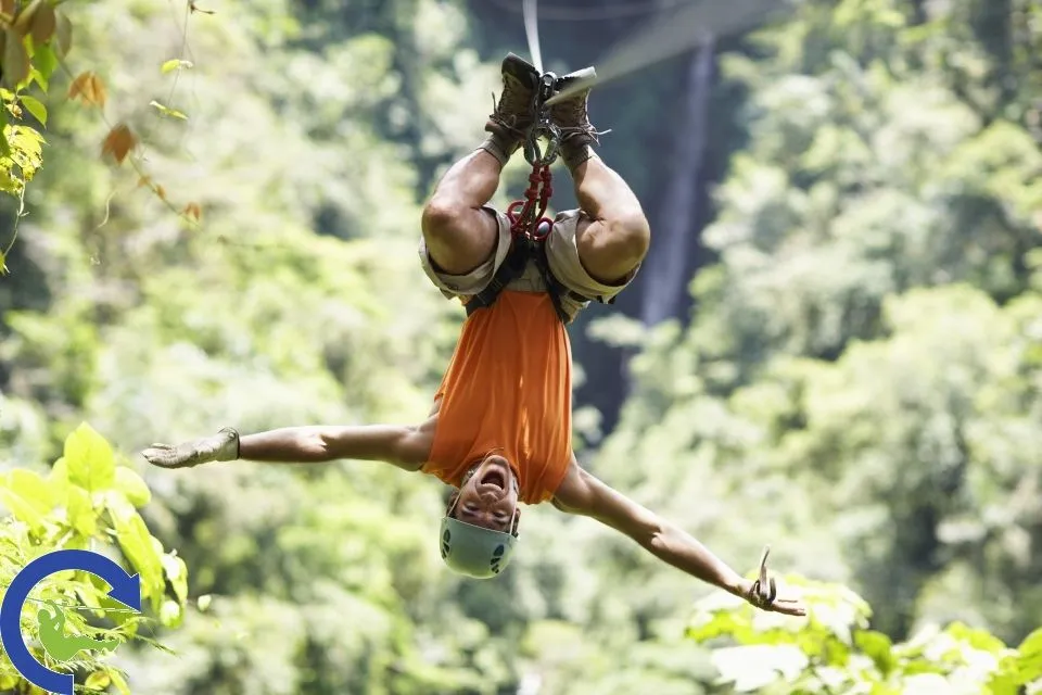 zipline_2.jpg
