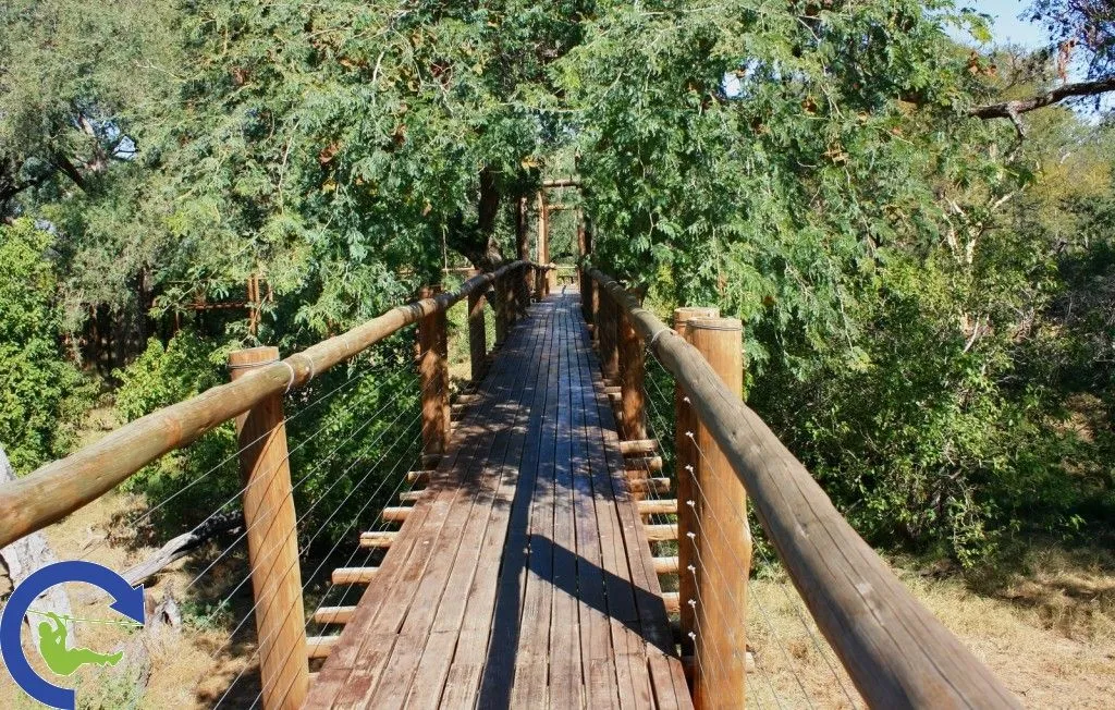 treetopwalk_2.jpg