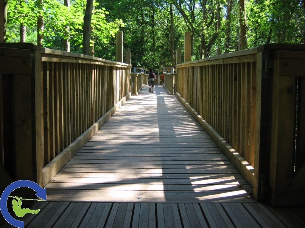 treetopwalk_4.jpg
