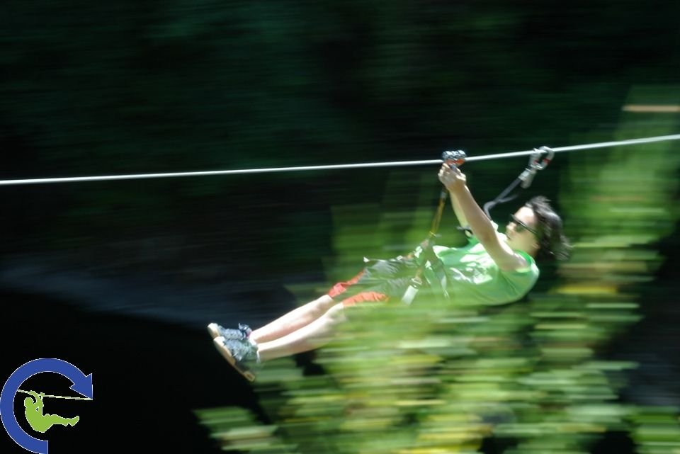 zipline_7.jpg