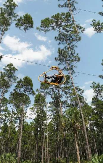 AirCruizer riders above the forest canopy