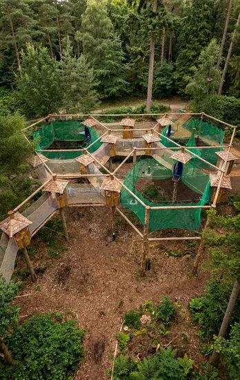 Skywalker ECO forest park — sustainable timber construction integrated into natural woodland