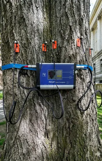 Skywalker inspector conducting a ropes course annual inspection