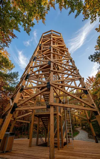 Bespoke timber frame structure at a Skywalker adventure park