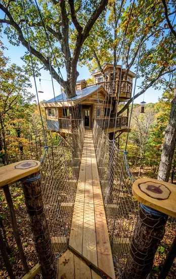 Commercial treehouse structure in adventure park setting