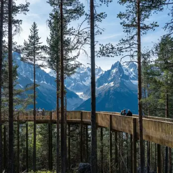 ECO Treetopwalk timber walkway through the forest canopy