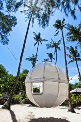 cocoon-600-0134