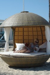 cocoon-600-025