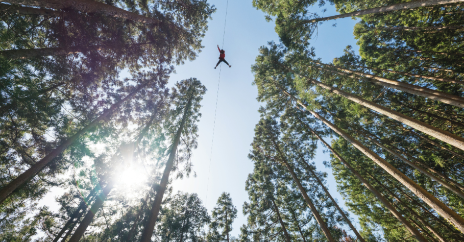 The Data-Driven Approach: How a Zipline Feasibility Study Guarantees Success
