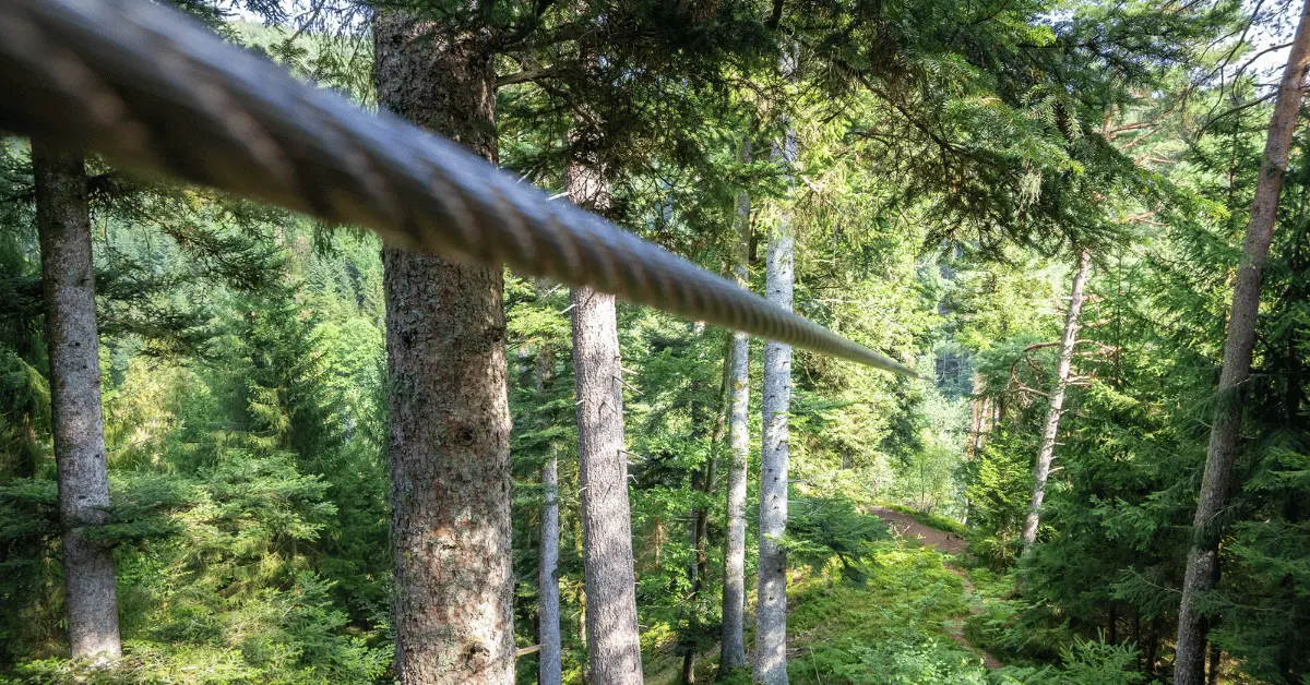 Streamline your zipline maintenance with our guide to Non-Destructive Testing and ISO standards compliance.