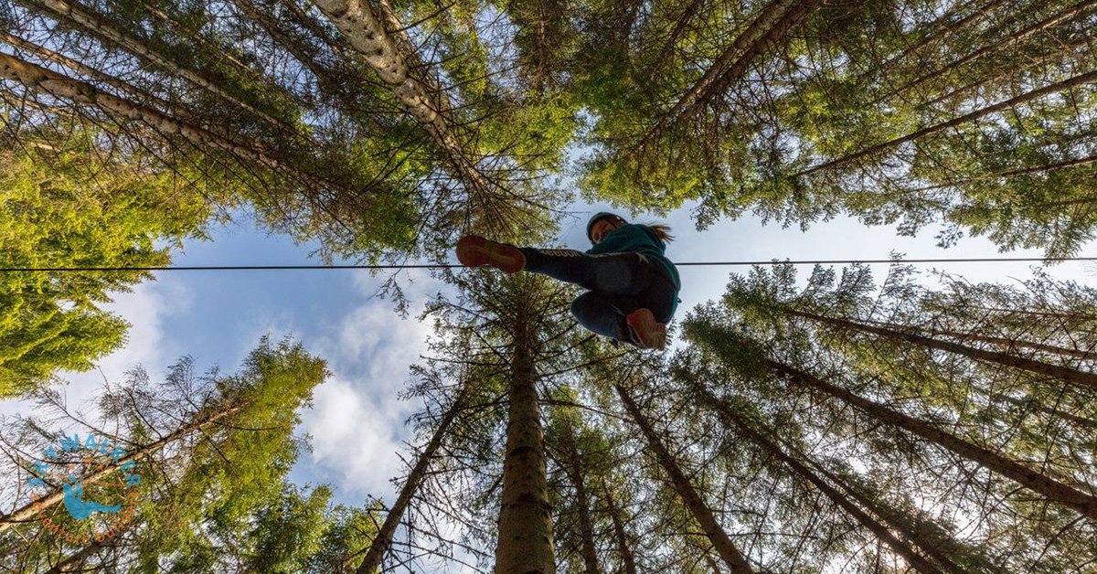 Maximize safety and efficiency on your zip line courses with spring brakes. Find out how they function and benefit your operations. Explore our guide today!